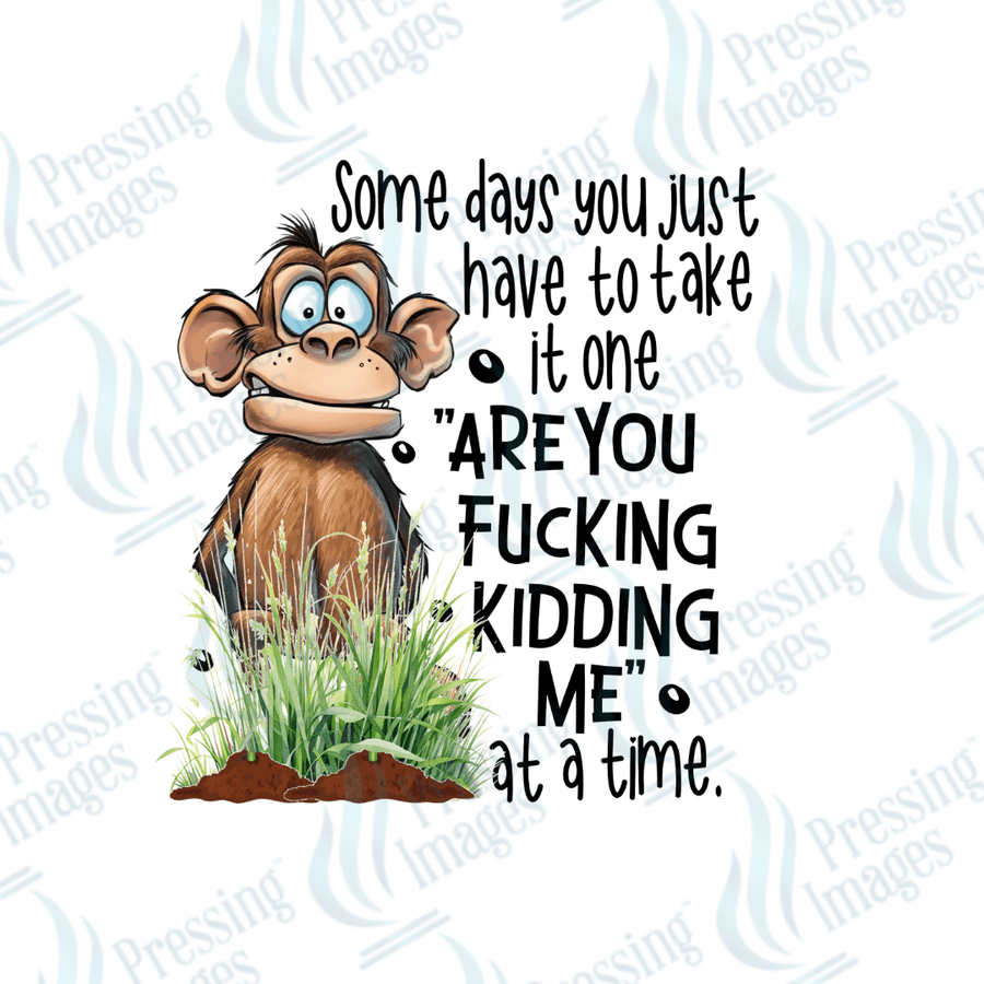 Decal SB 2511 Somedays you just have to take it one are you fucking kidding me at a time - Pressing Images