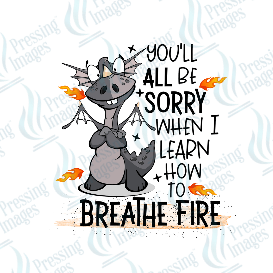 Decal SB 2516 You'll be sorry - Pressing Images