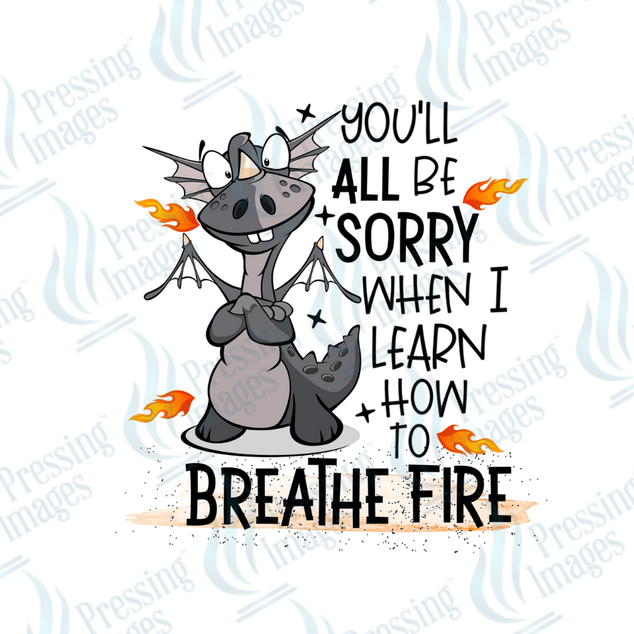 Decal SB 2516 You'll be sorry - Pressing Images