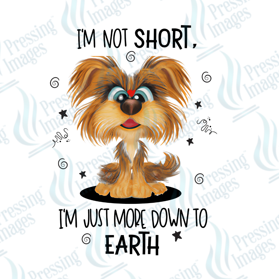 Decal SB 2523 I'm not short - Pressing Images