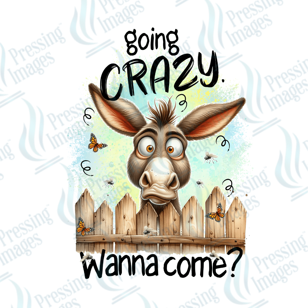 Decal SB 2527 Going crazy wanna come - Pressing Images