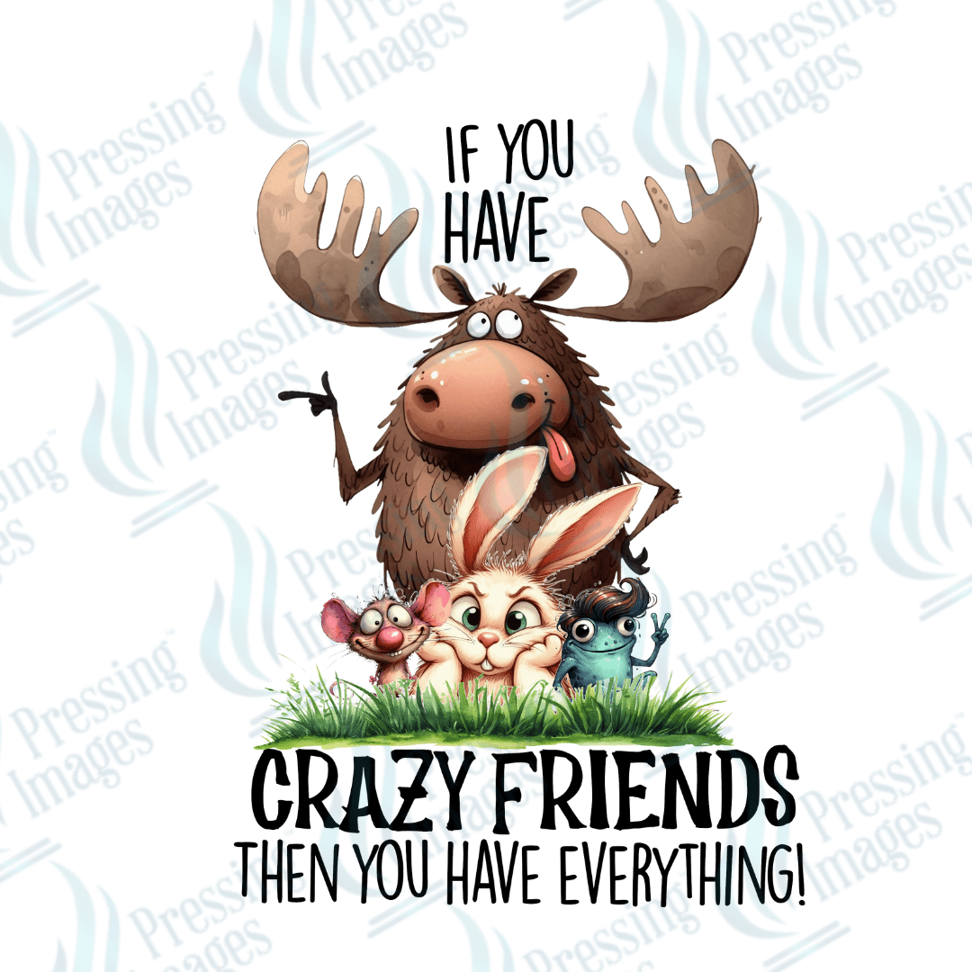 Decal SB 2543 If you have crazy friends - Pressing Images