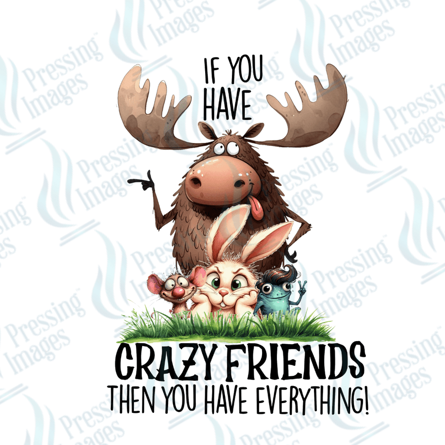 Decal SB 2543 If you have crazy friends - Pressing Images