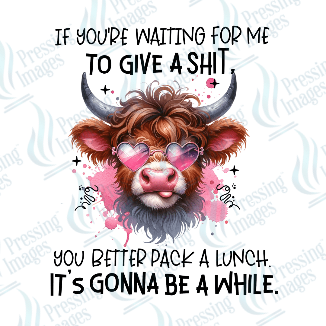 Decal SB 2544 If you're waiting for me to give a shit - Pressing Images