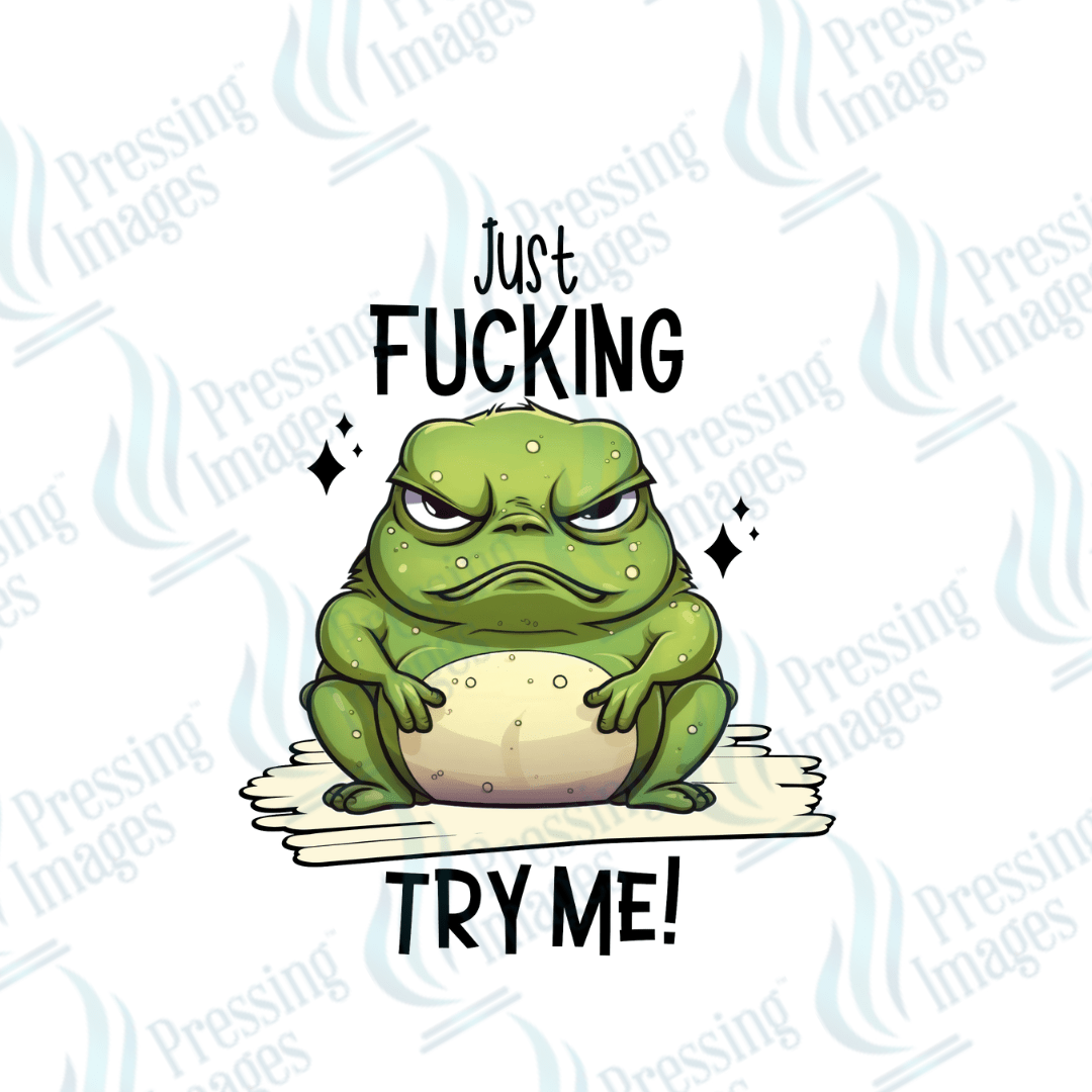 Decal SB 2545 Just fucking try me - Pressing Images