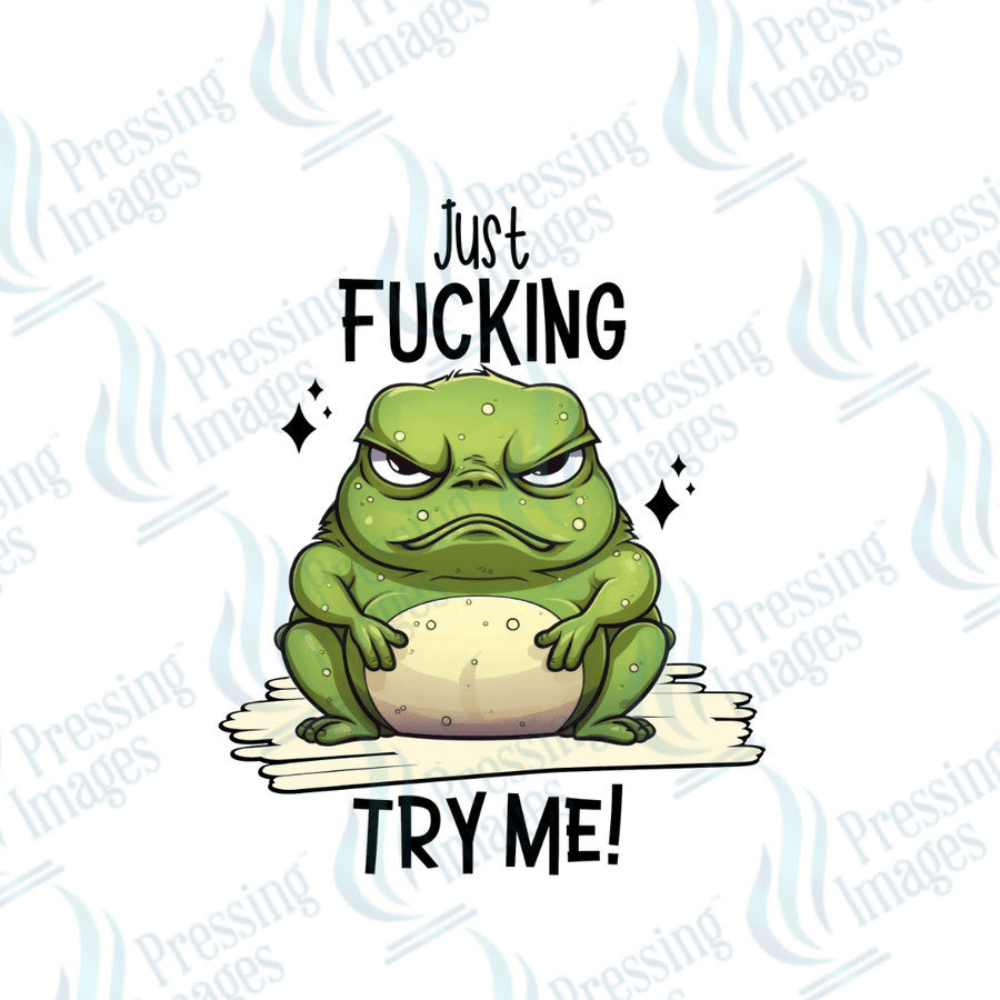 Decal SB 2545 Just fucking try me - Pressing Images