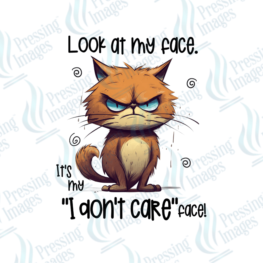 Decal SB 2546 Look at my face - Pressing Images