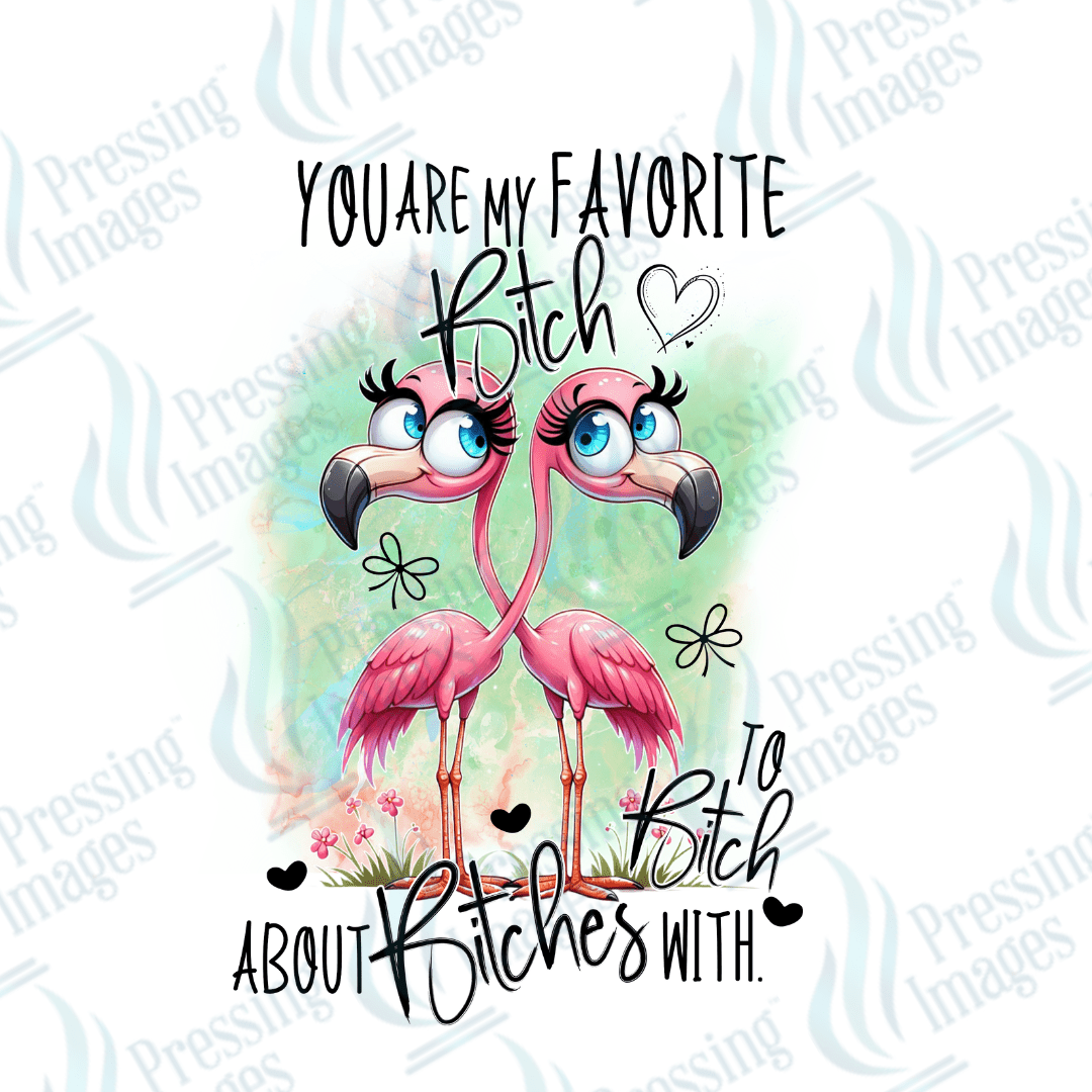 Decal SB 2559 You're my favourite bitch - Pressing Images