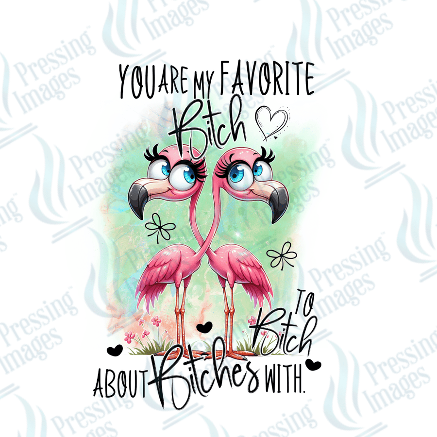 Decal SB 2559 You're my favourite bitch - Pressing Images