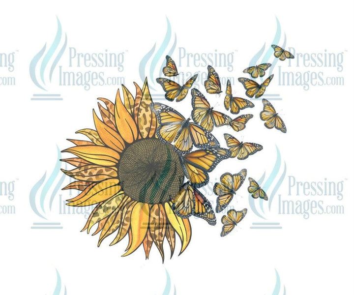 DTF: 1038 Sunflower and butterflies - Pressing Images