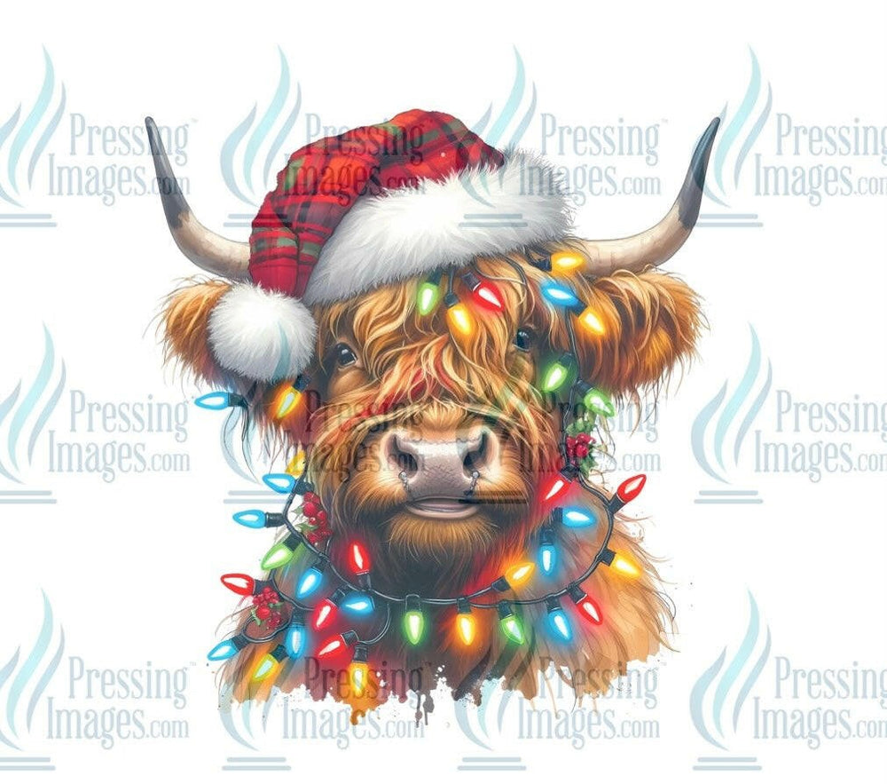 DTF: 1064 Highland cow in lights - Pressing Images