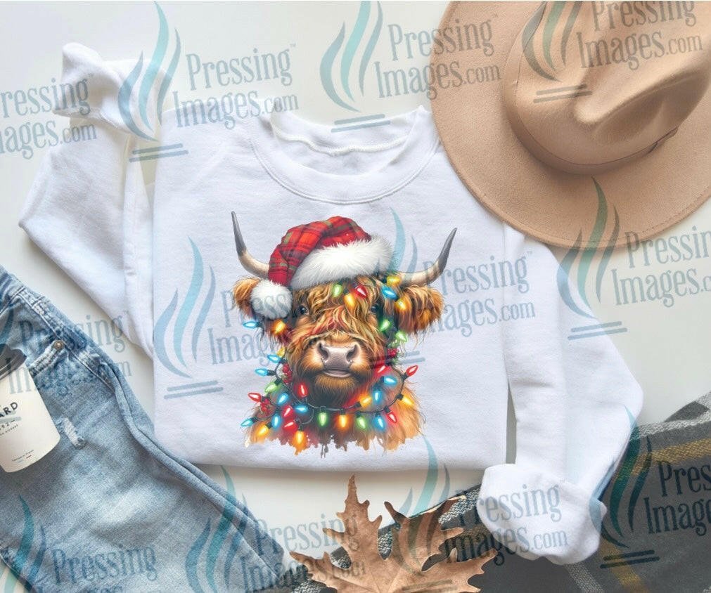 DTF: 1064 Highland cow in lights - Pressing Images