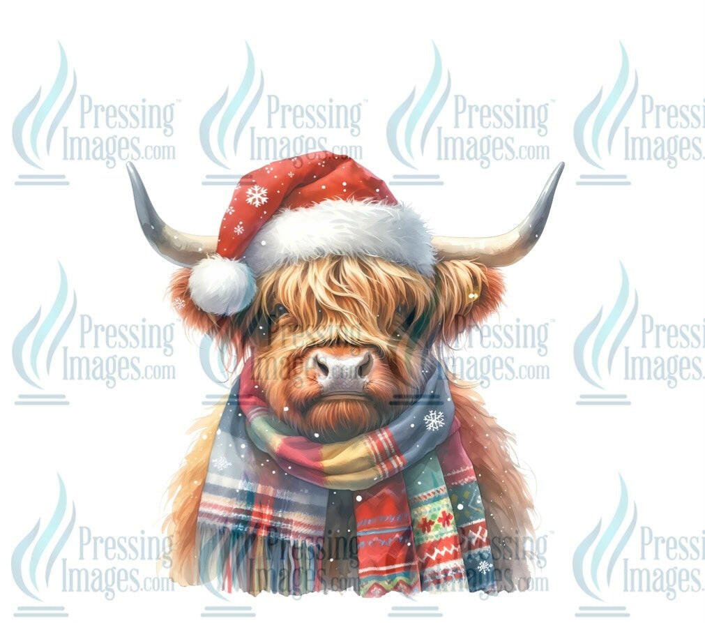 DTF: 1065 Highland cow in scarf - Pressing Images