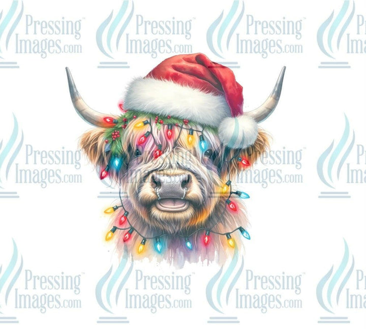 DTF: 1066 Highland cow in lights - Pressing Images