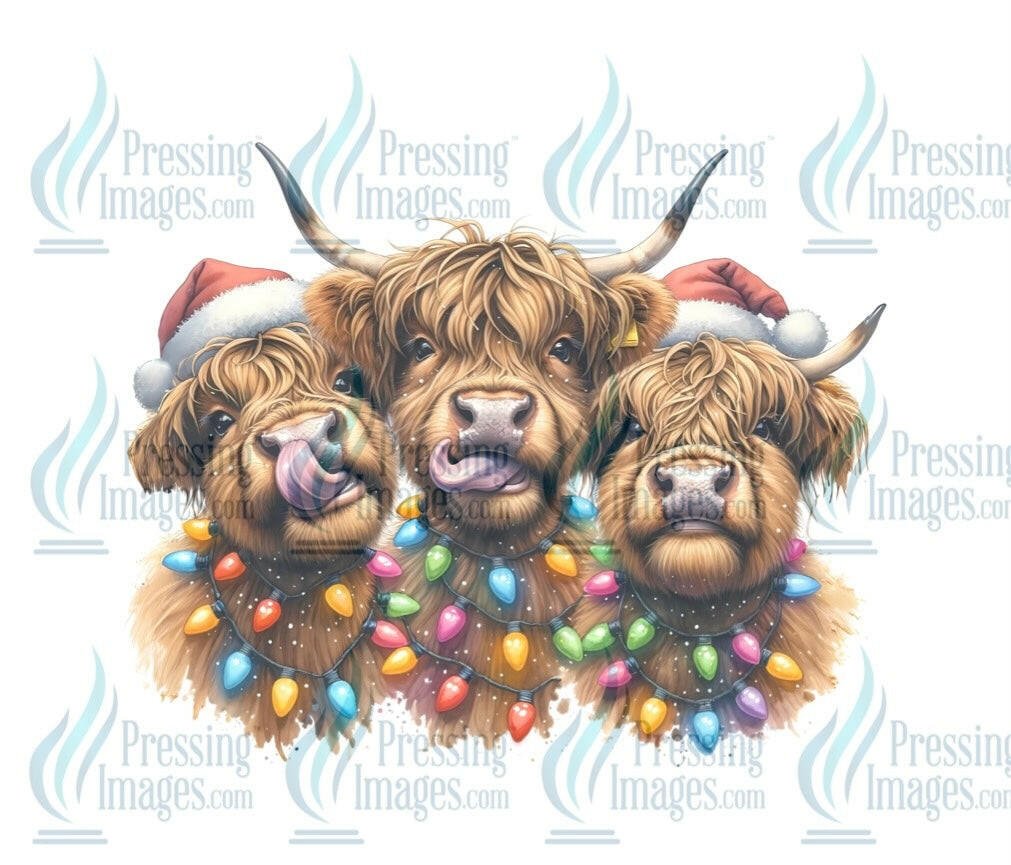 DTF: 1070 Christmas highland cows - Pressing Images