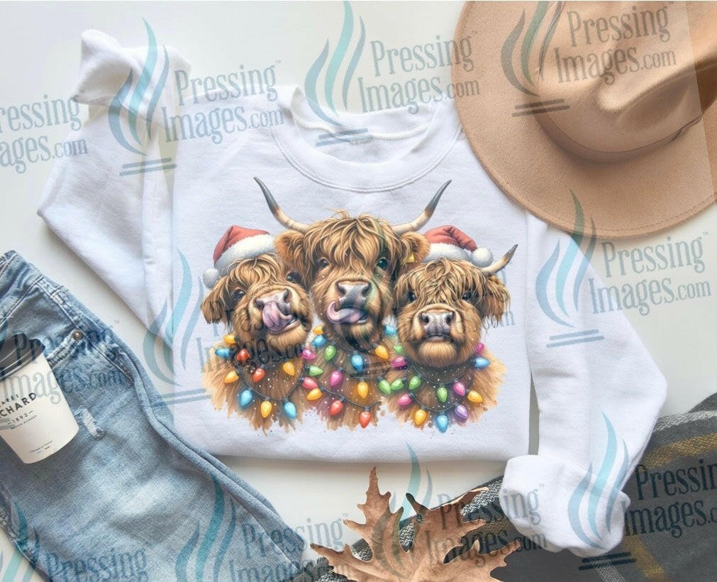 DTF: 1070 Christmas highland cows - Pressing Images