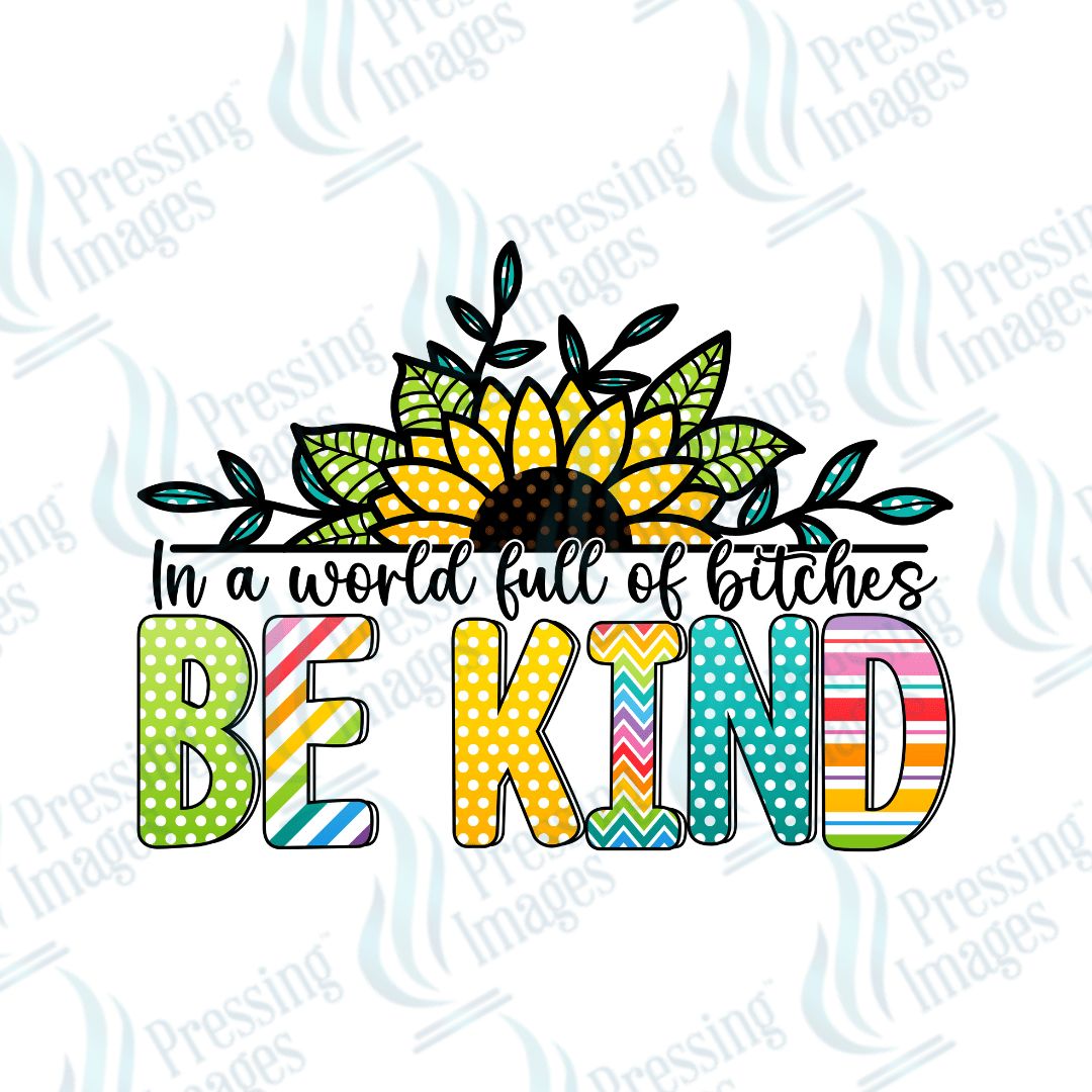 DTF 2025 In a world full of bitches - Pressing Images