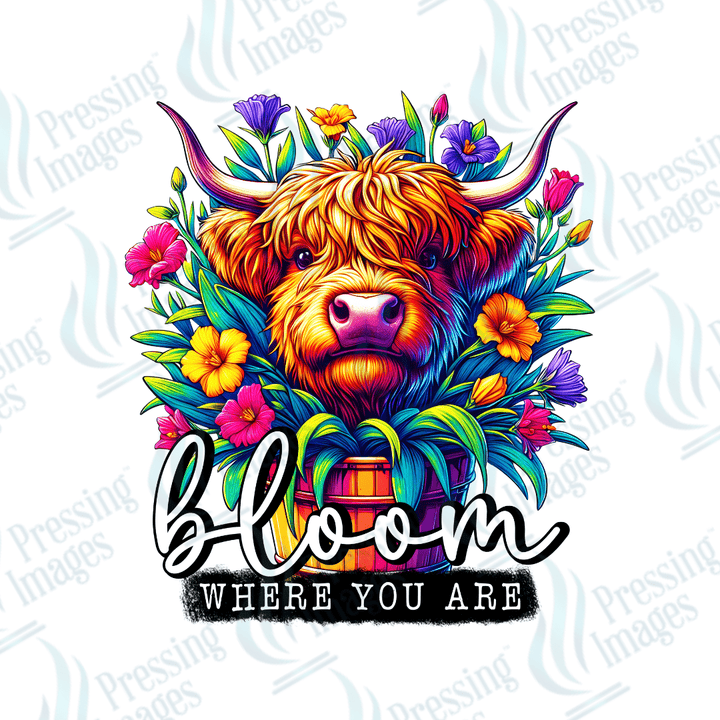 DTF 2069 Bloom where you are - Pressing Images