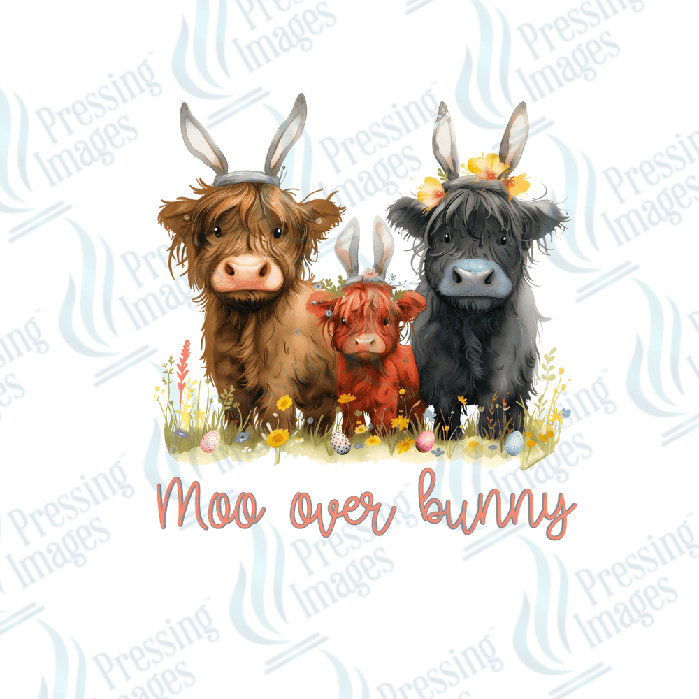 DTF 2121 Moo over bunny - Pressing Images