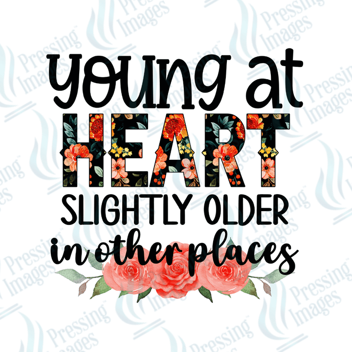 DTF 2210 Young at heart - Pressing Images