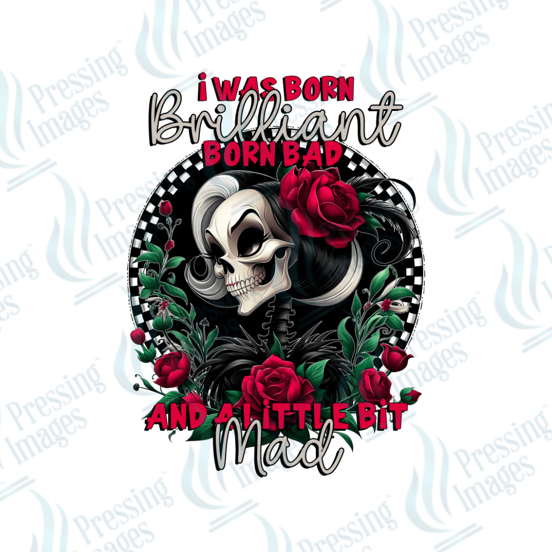 DTF 2253 I was born brilliant skullie - Pressing Images