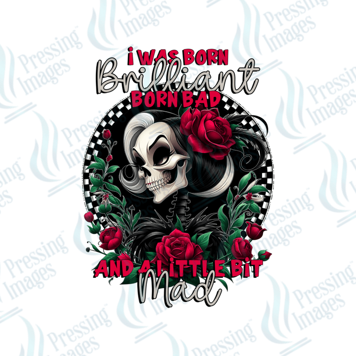 DTF 2253 I was born brilliant skullie - Pressing Images