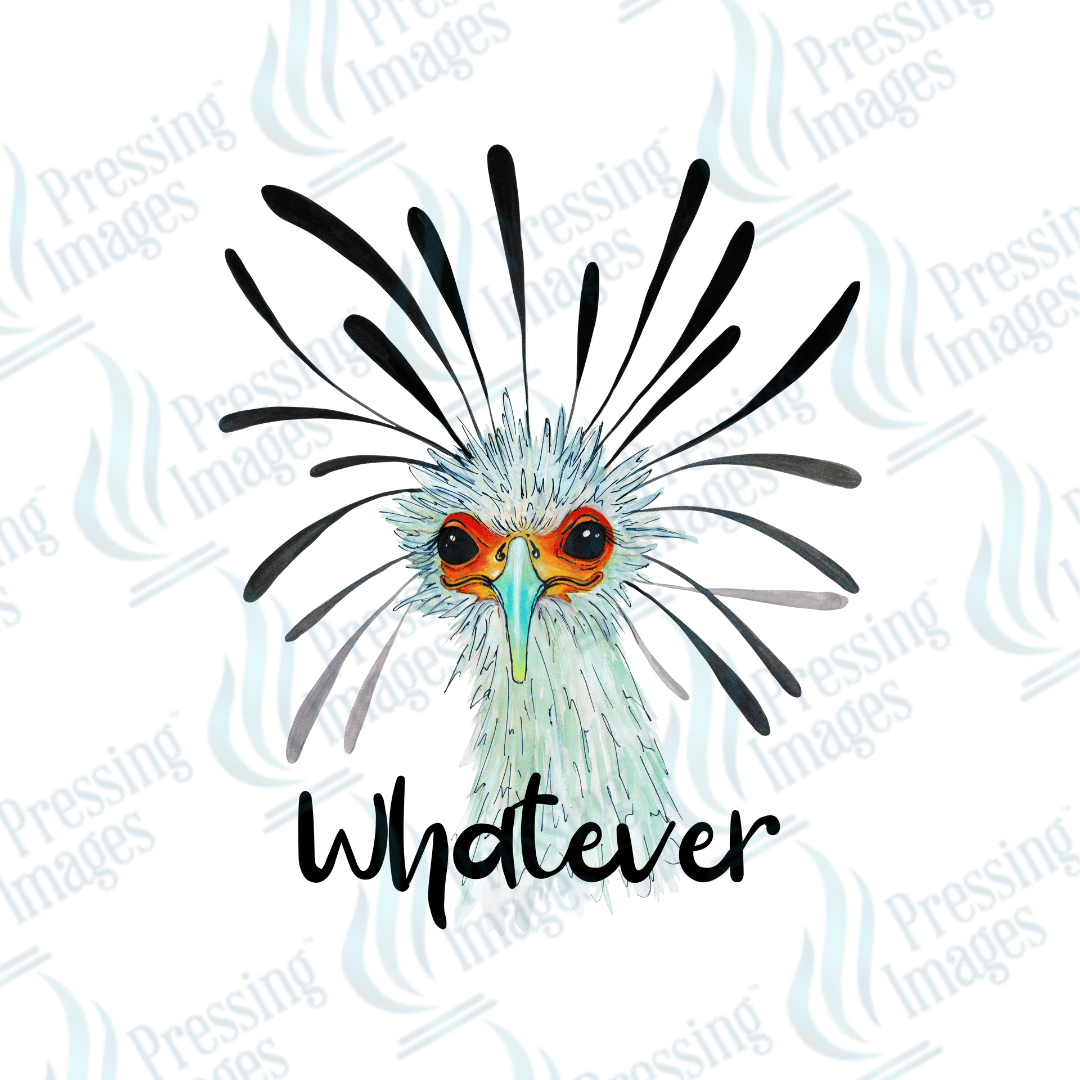 DTF 2328 Whatever bird - Pressing Images