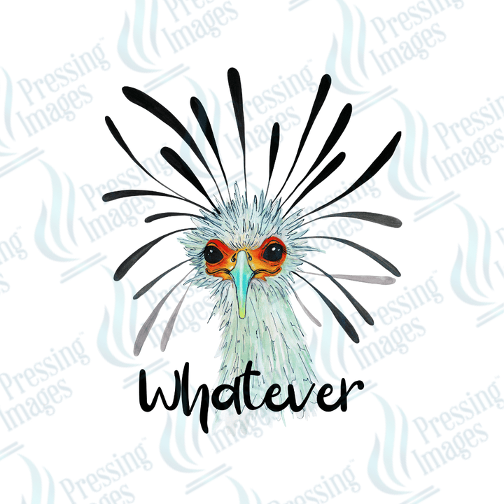 DTF 2328 Whatever bird - Pressing Images