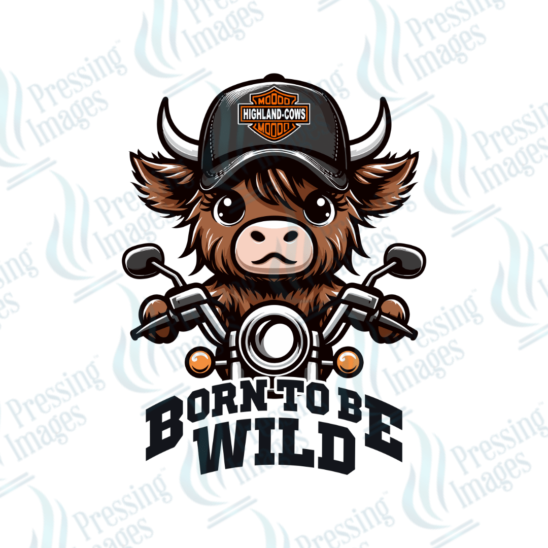 DTF 2348 Born to be wild BOY - Pressing Images