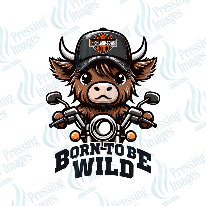 DTF 2348 Born to be wild BOY - Pressing Images