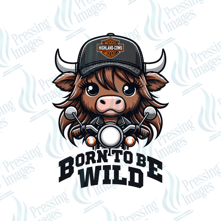 DTF 2349 Born to be wild GIRL - Pressing Images