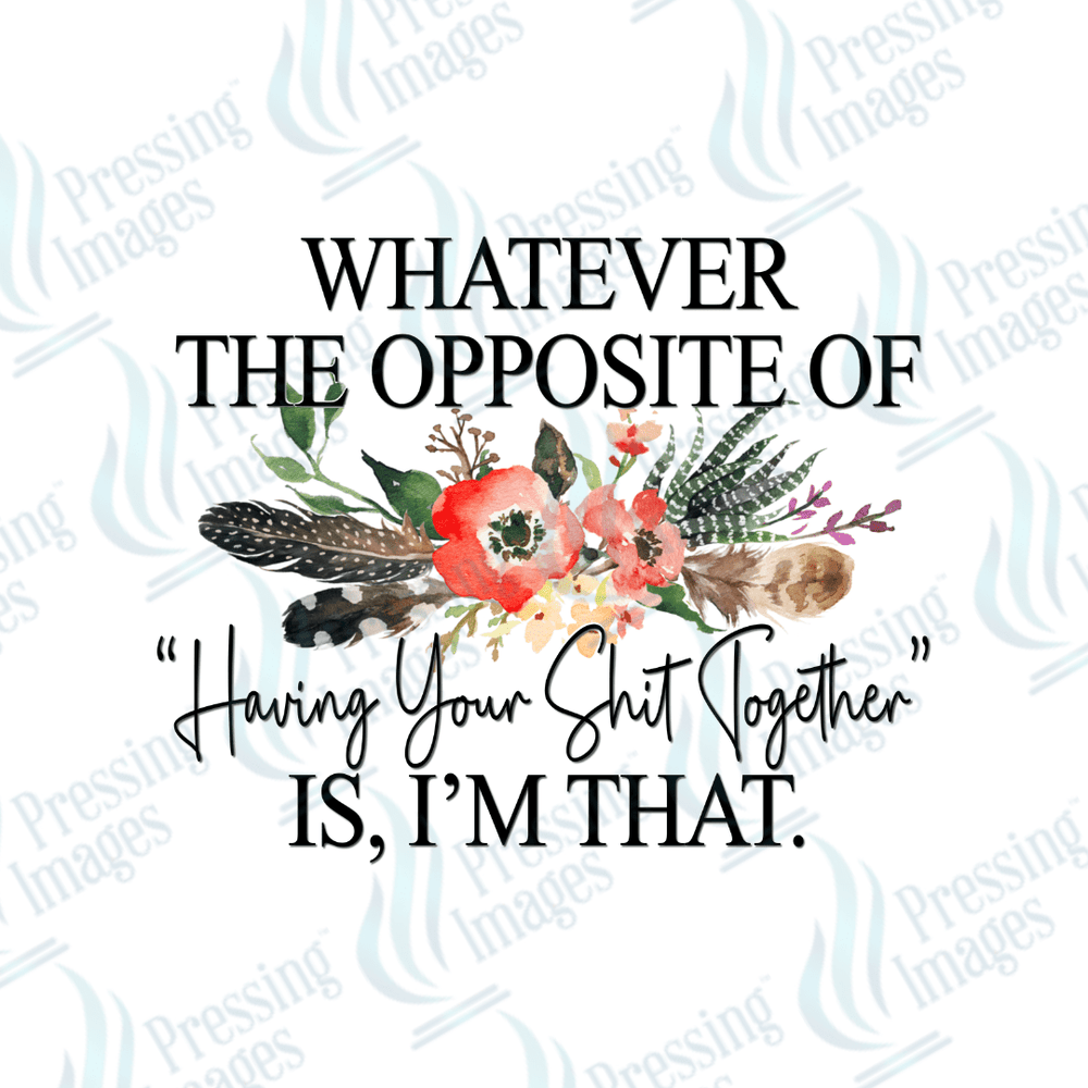 DTF 2389 - 1951 Whatever the opposite of having your shit together is - Pressing Images