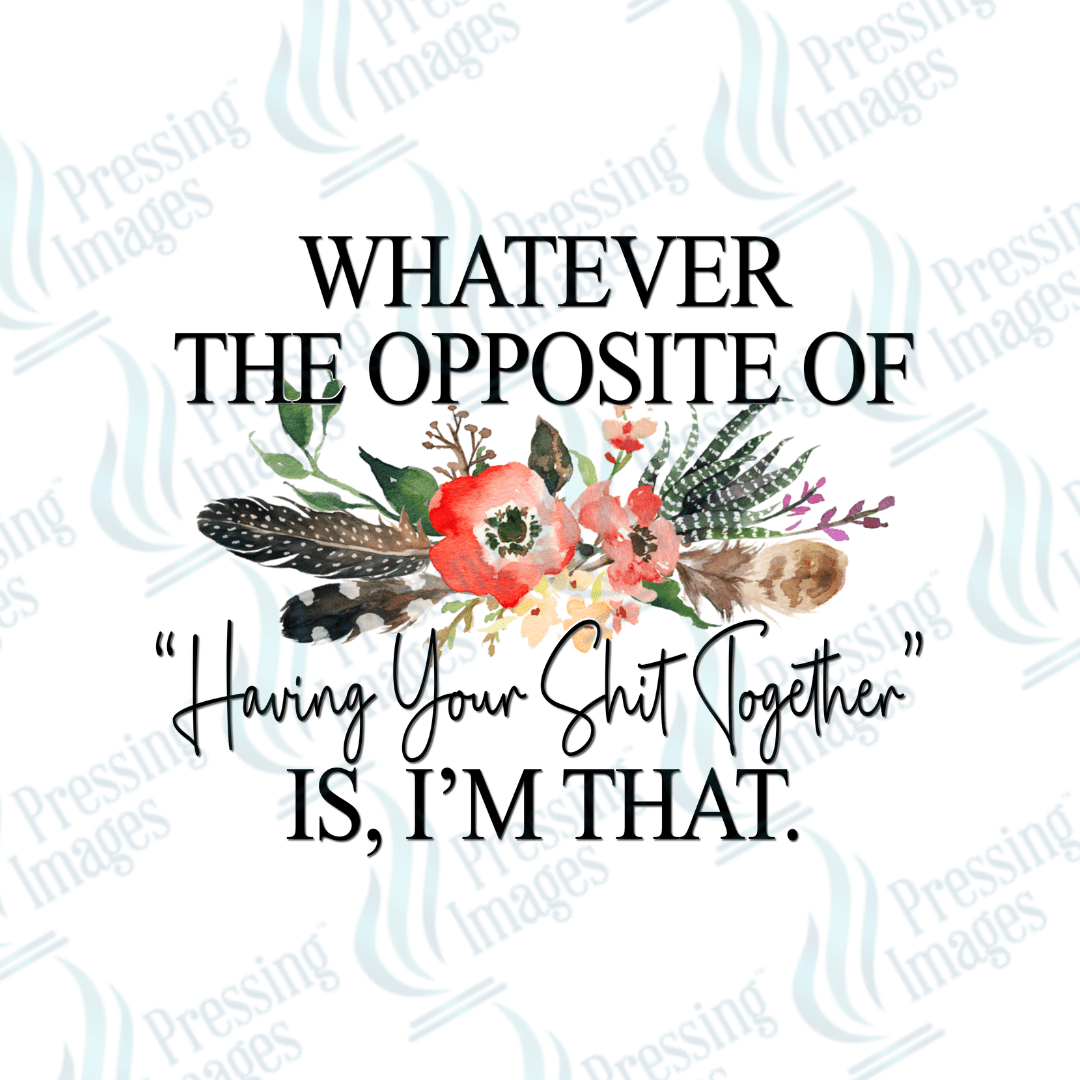 DTF 2389 - 1951 Whatever the opposite of having your shit together is - Pressing Images