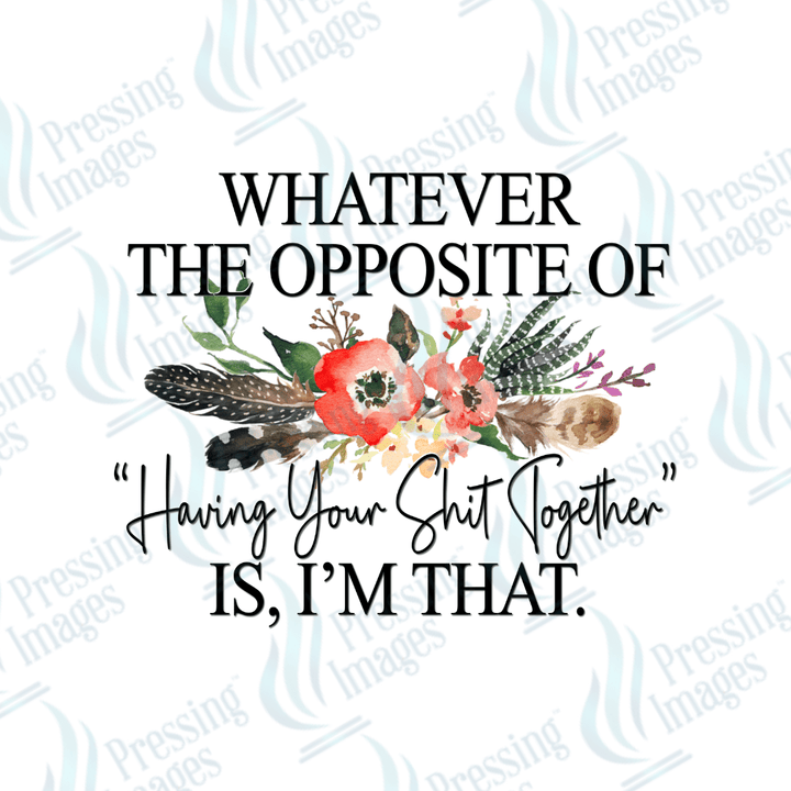 DTF 2389 - 1951 Whatever the opposite of having your shit together is - Pressing Images