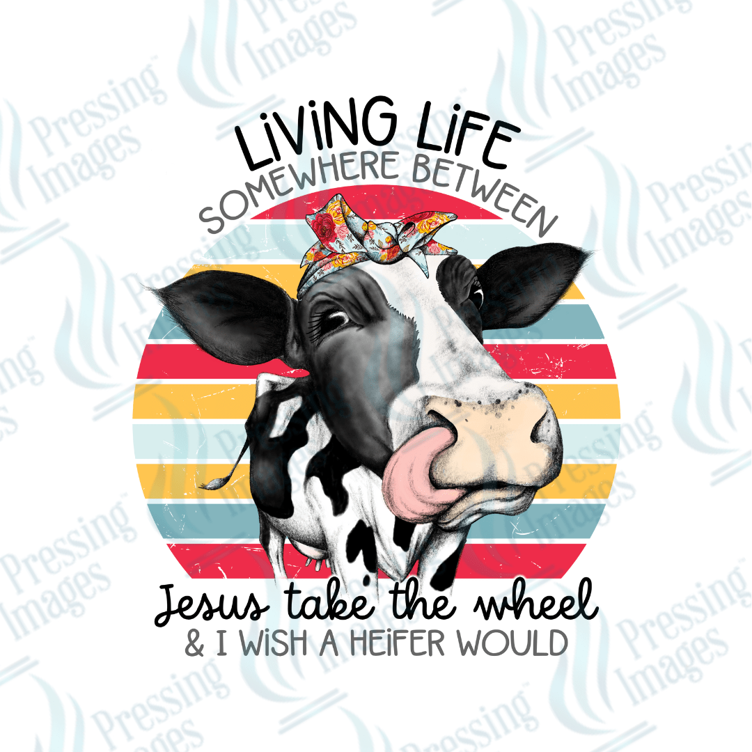 DTF 2419 Jesus take the wheel cow - Pressing Images