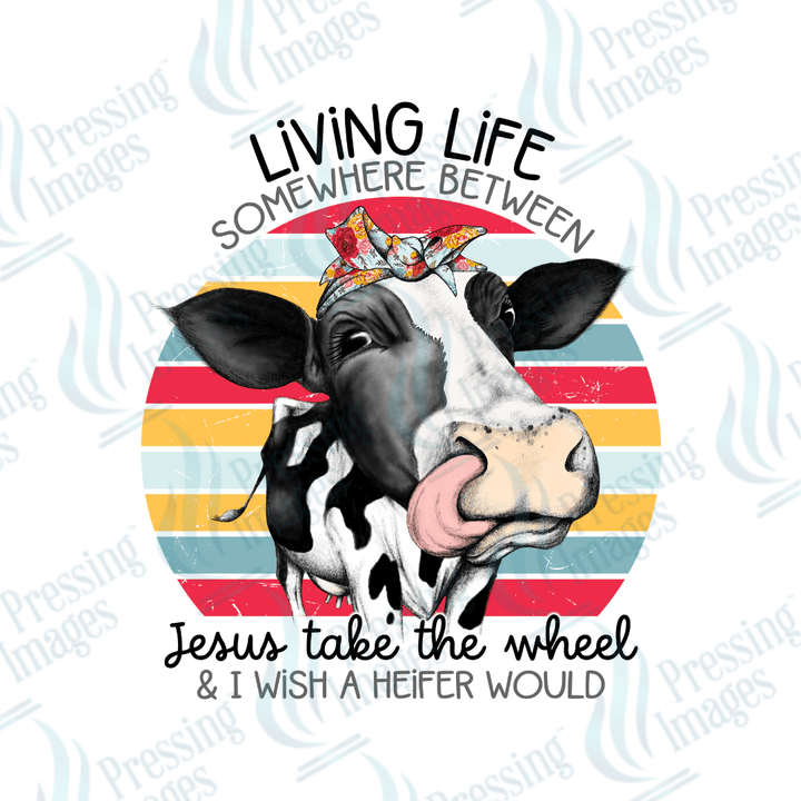 DTF 2419 Jesus take the wheel cow - Pressing Images