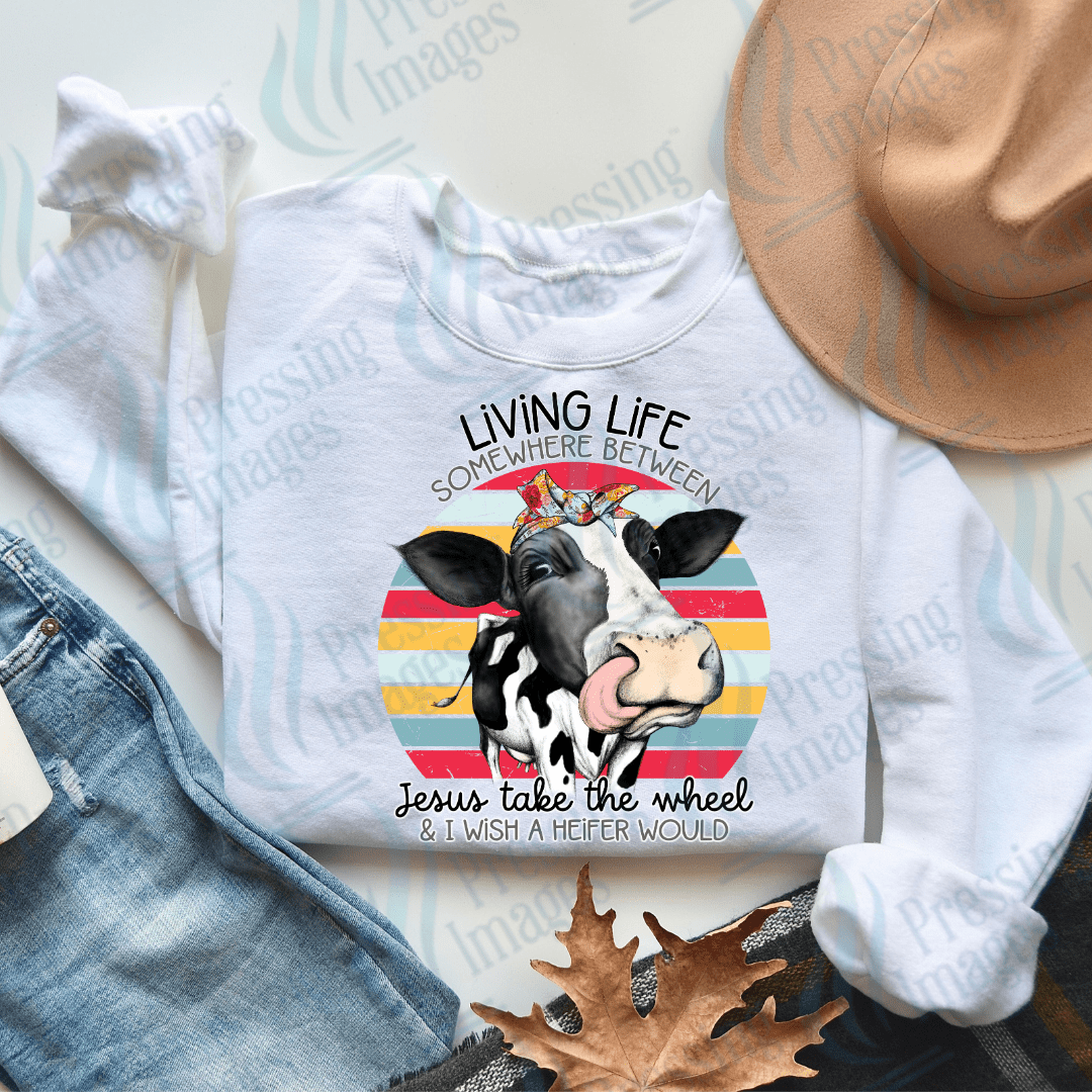 DTF 2419 Jesus take the wheel cow - Pressing Images