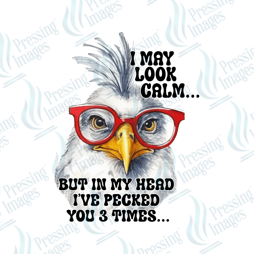 DTF 2425 I may look calm - Pressing Images