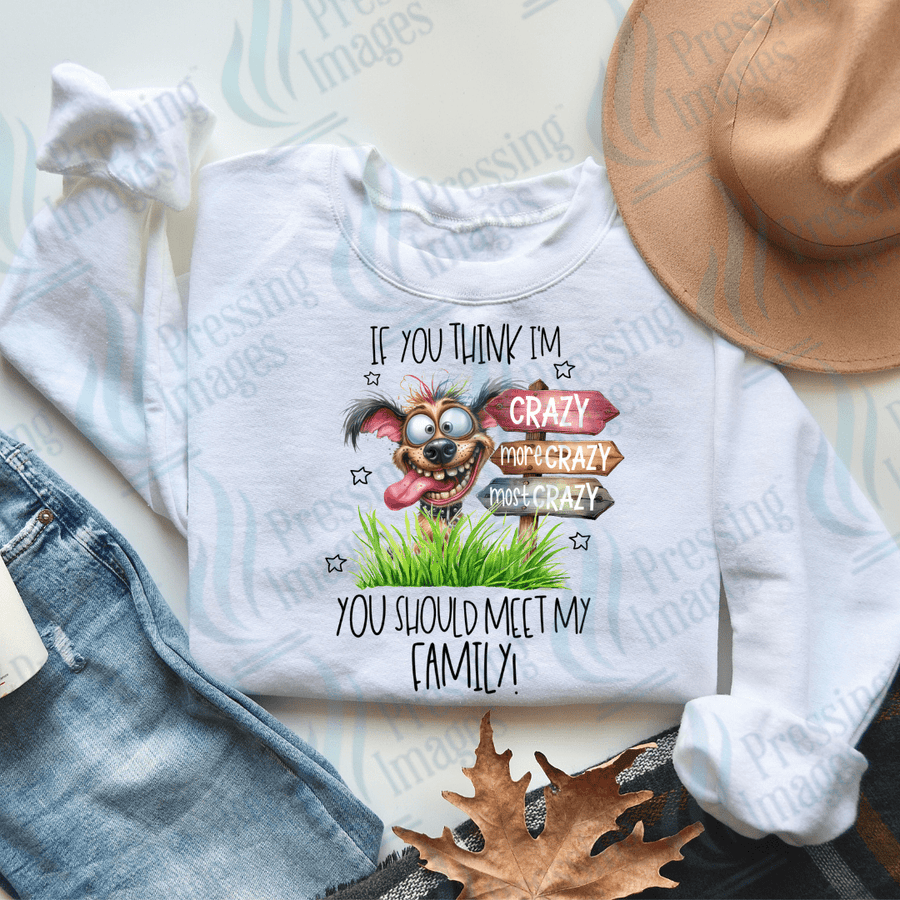 DTF 2498 If you think I'm crazy - Pressing Images