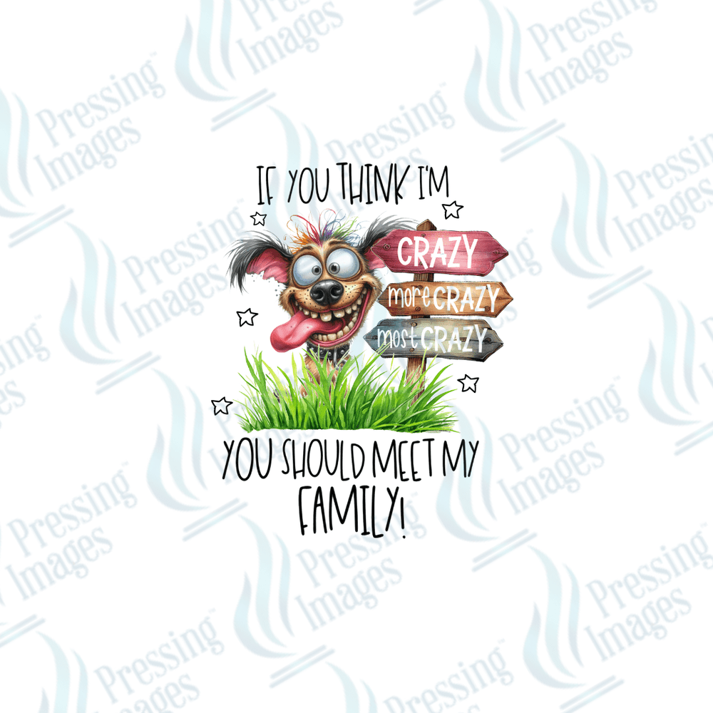 DTF 2498 If you think I'm crazy - Pressing Images