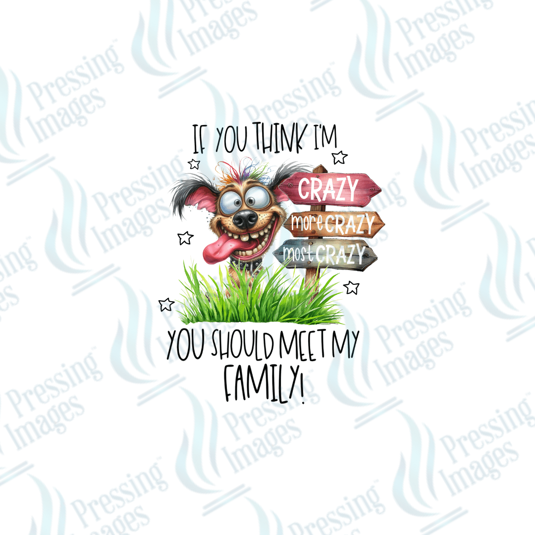 DTF 2498 If you think I'm crazy - Pressing Images