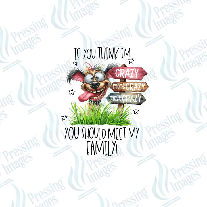 DTF 2498 If you think I'm crazy - Pressing Images