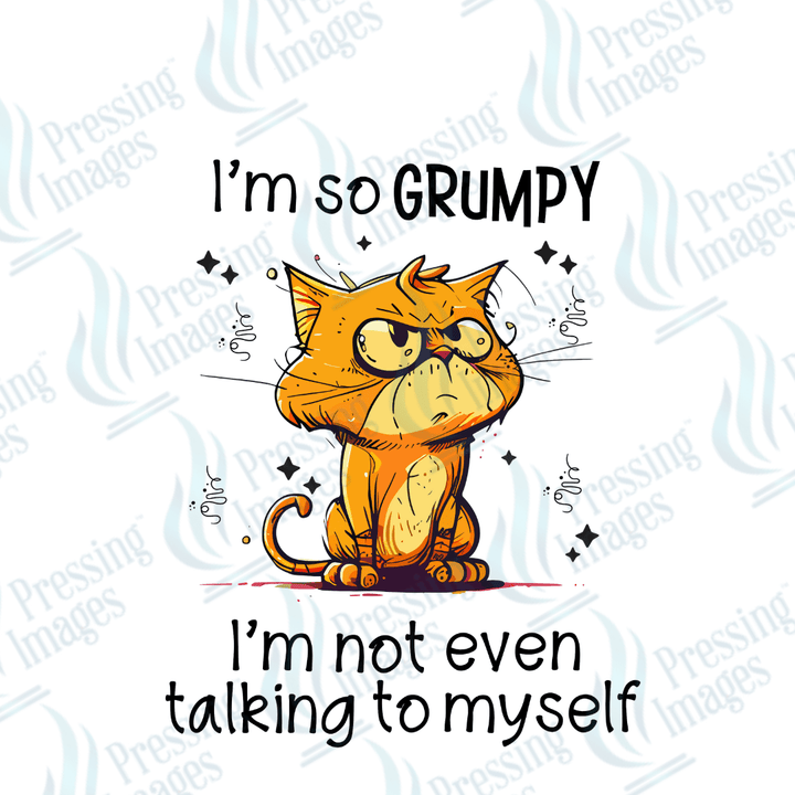 DTF 2500 I'm so grumpy - Pressing Images