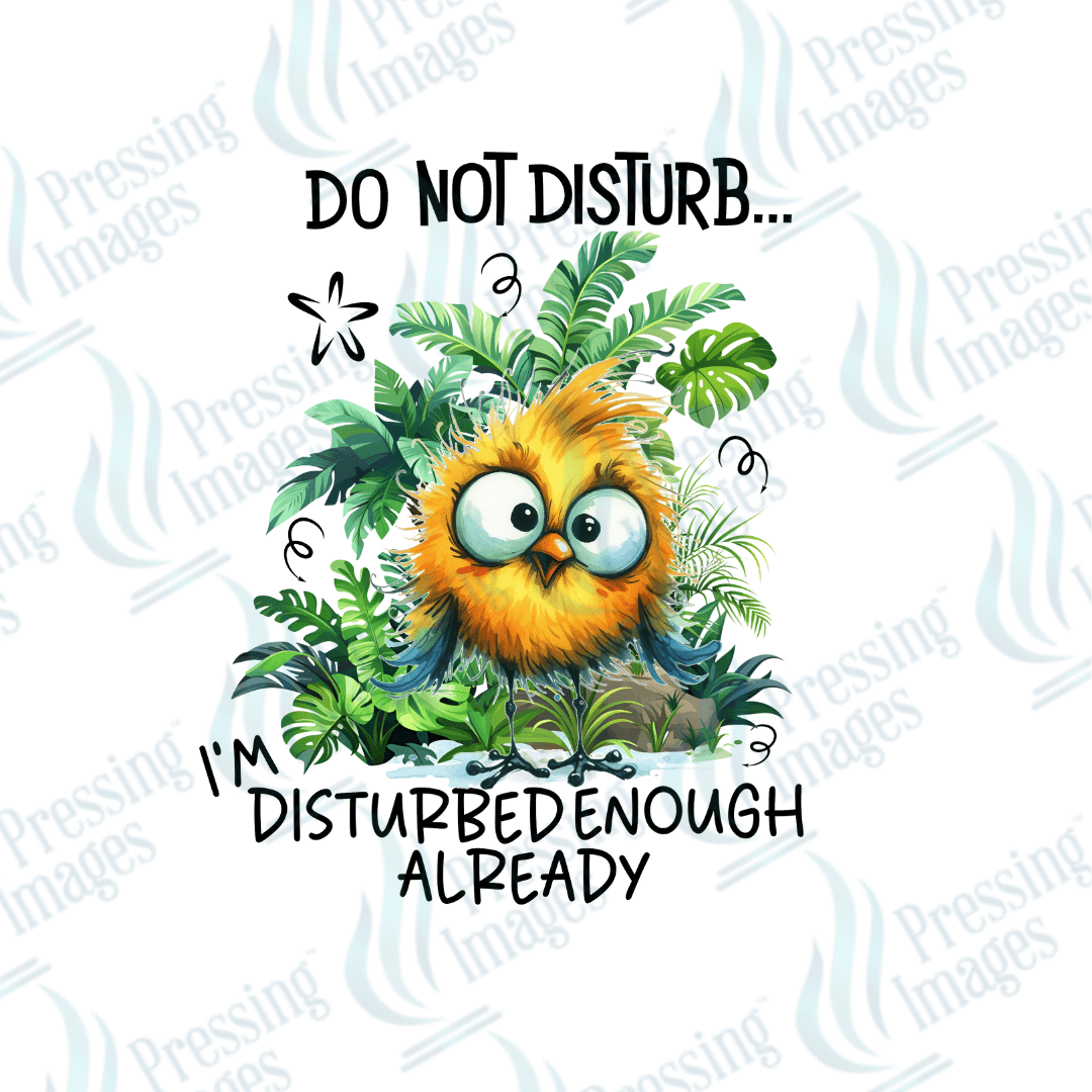 DTF 2504 Do not disturb - Pressing Images