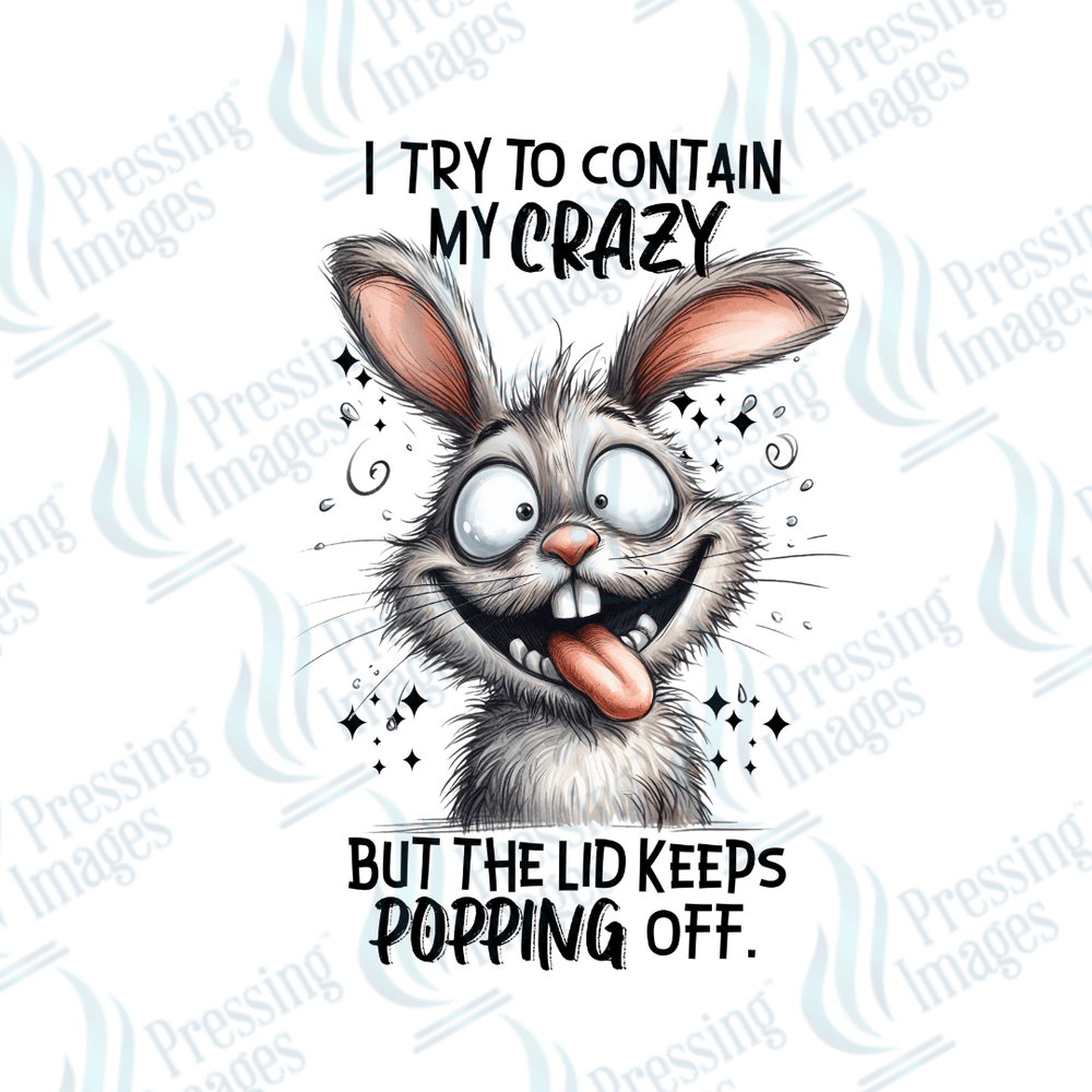 DTF 2506 I try to contain the crazy - Pressing Images