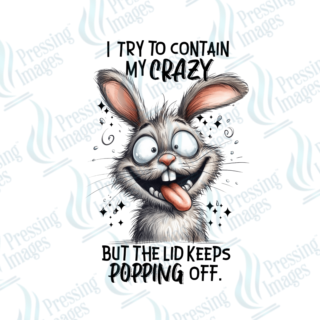 DTF 2506 I try to contain the crazy - Pressing Images