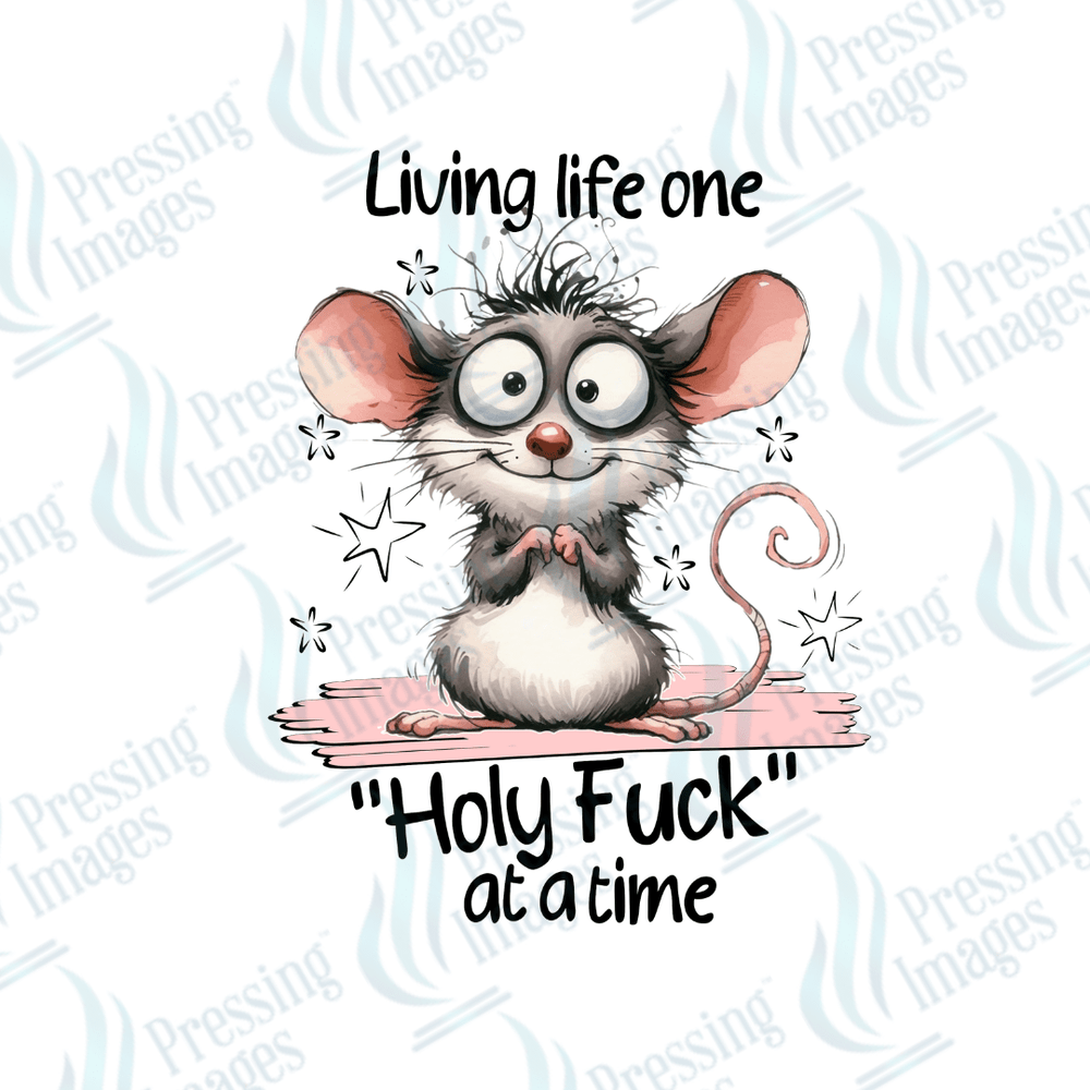 DTF 2509 Living life one Holy fuck at a time - Pressing Images
