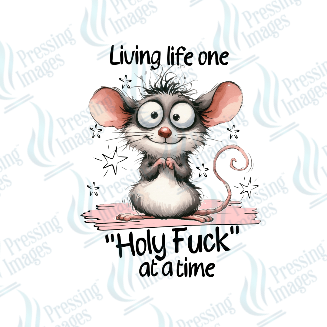 DTF 2509 Living life one Holy fuck at a time - Pressing Images