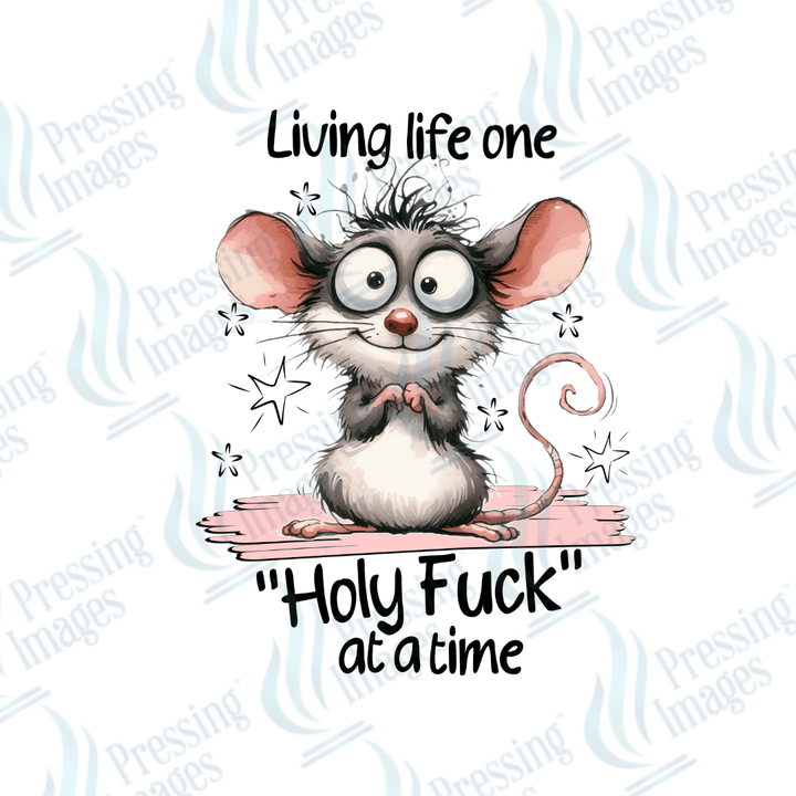DTF 2509 Living life one Holy fuck at a time - Pressing Images