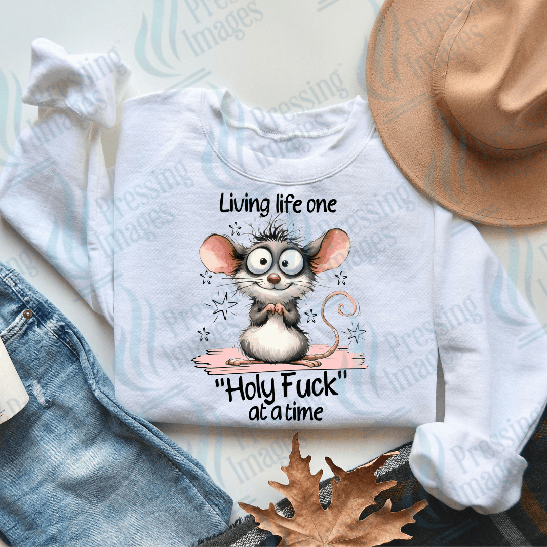 DTF 2509 Living life one Holy fuck at a time - Pressing Images
